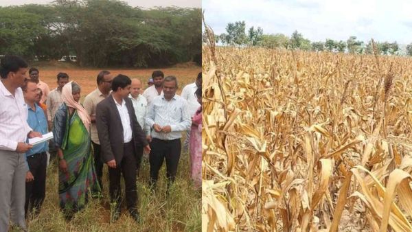 ಬೇಸಿಗೆಗೆ ಮುನ್ನವೇ ಹಾಹಾಕಾರ: ದಾವಣಗೆರೆ ಜಿಲ್ಲೆಯ 19 ಗ್ರಾಮಗಳಲ್ಲಿ ಅಂತರ್ಜಲ ಕುಸಿತ, ಶುರುವಾಯ್ತು ಭೀಕರ ಬರದ ಕರಾಳ ದರ್ಶನ.!