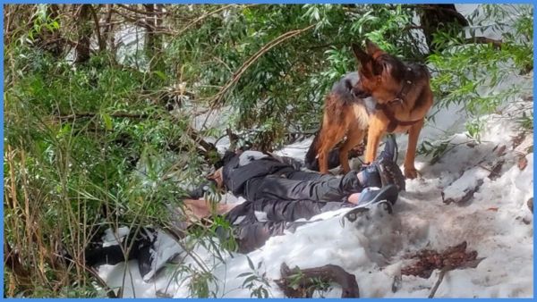 ಹಿಮಾಚಲ ಪ್ರದೇಶದಲ್ಲಿ ಮೃತಪಟ್ಟ ಚಾರಣಿಗರು: ಎರಡು ದಿನ ಮೃತದೇಹದ ಕಾವಲಿಗೆ ನಿಂತಿತ್ತು ಸಾಕು ನಾಯಿ!