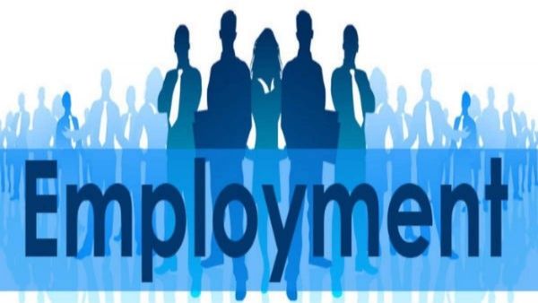 DULT Karnataka Jobs: ಬೆಂಗಳೂರಿನಲ್ಲಿ ಉದ್ಯೋಗ ಖಾಲಿ ಇದೆ: ಕೂಡಲೇ ಅರ್ಜಿ ಹಾಕಿ