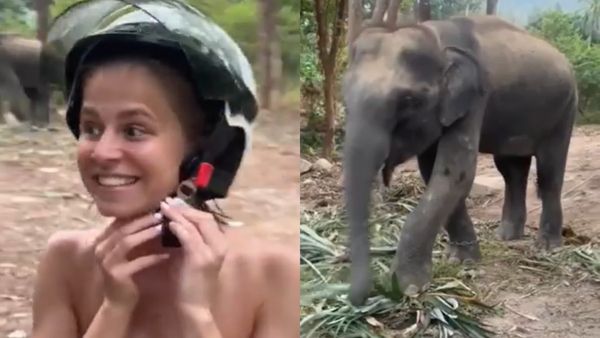 ಆನೆಯೊಂದಿಗೆ ಫೋಟೋ ಕ್ಲಿಕ್ಕಿಸಿಕೊಳ್ಳಲು ಹೋದ ಮಹಿಳೆ... ಮುಂದಾಗಿದ್ದು ಭಯಾನಕ!