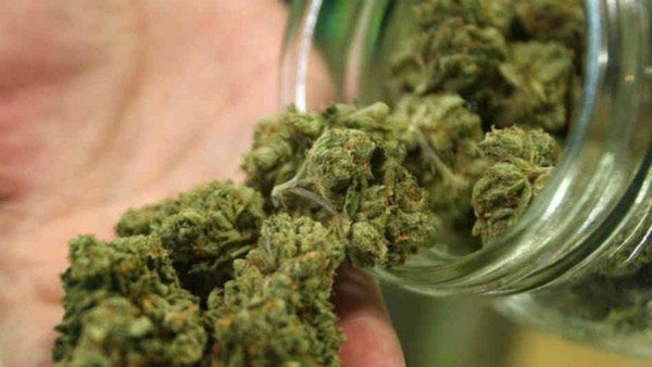 ಚಾಮರಾಜನಗರ: ಅಬ್ಬಬ್ಬಾ ಕೆ.ಜಿ ಲೆಕ್ಕದಲ್ಲೂ ಅಲ್ಲ.. ಬರೋಬ್ಬರಿ 2 ಕ್ವಿಂಟಾಲ್‌ ಒಣ ಗಾಂಜಾ ವಶ.!, ಇದರ ಮೌಲ್ಯ ಎಷ್ಟು ಕೋಟಿ?