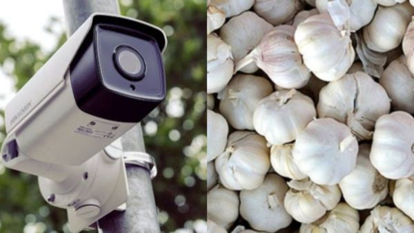 Garlic Price Hike: ಬೆಳ್ಳುಳ್ಳಿ ಕಳ್ಳತನ ತಪ್ಪಿಸಲು ಹೊಲಕ್ಕೆ ಸಿಸಿಟಿವಿ ಅಳವಡಿಸಿದ ರೈತ!