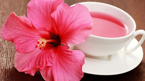 Hibiscus Uses: ಬೇಸಿಗೆಯಲ್ಲಿ ದಾಸವಾಳದಿಂದ ಆರೋಗ್ಯ ಕಾಪಾಡಿಕೊಳ್ಳುವುದು ಹೇಗೆ?