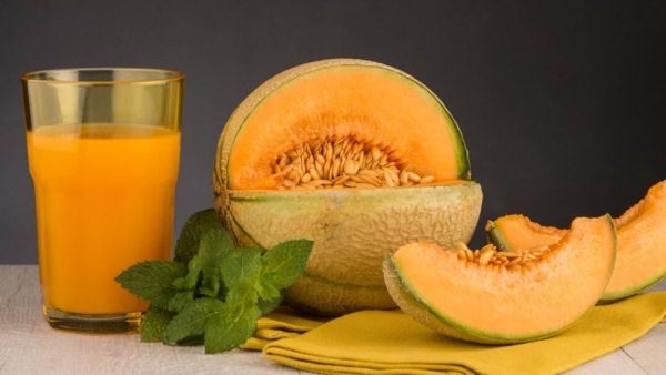 Kharbuja Milkshake Recipe: ಬೇಸಿಗೆಗೆ ಆರೋಗ್ಯಕರ, ರುಚಿಕರ ಕರಬೂಜ ಜ್ಯೂಸ್ ಮಾಡಿ ಕುಡಿಯಿರಿ