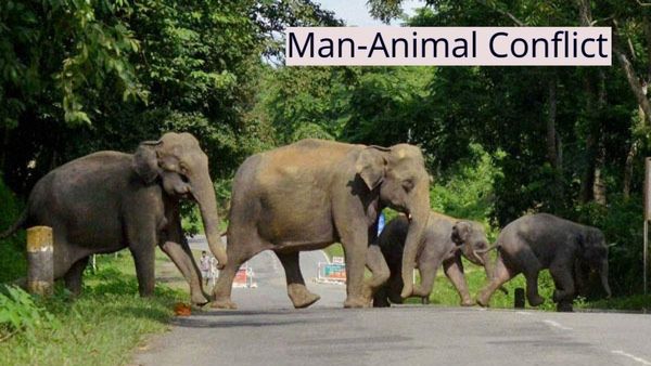 Man-Animal Conflict: ಟಾಸ್ಕ್‌ಫೋರ್ಸ್‌ ಆಧುನಿಕರಣಕ್ಕೆ ರೂ.10 ಕೋಟಿ ಬಿಡುಗಡೆ