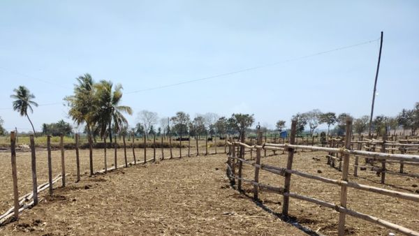 ಫೆ. 26ಕ್ಕೆ ಶ್ರೀ ಮೈಲಾರಲಿಂಗೇಶ್ವರ ಕಾರ್ಣಿಕ; ಸಿದ್ಧತೆಗಳು ಹೇಗಿವೆ?