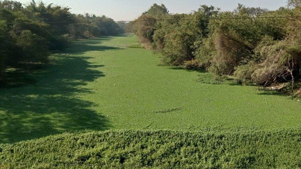 ಕರ್ನಾಟಕದ ಕೌತುಕ ಸ್ಥಳ: ಬೇಸಿಗೆಯಲ್ಲಿ ಹಸಿರಾಗುವ ಈ ನದಿ ಯಾವುದು ಗೊತ್ತಾ..?