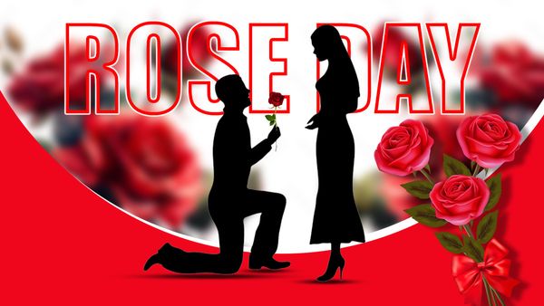 Rose Day 2024: ನಿಮ್ಮ ಸಂಗಾತಿಗೆ ಕ್ಷಮೆ ಹೇಳಲು ಈ ಬಣ್ಣದ ಗುಲಾಬಿ ಹೂವು ಕೊಡಿ...