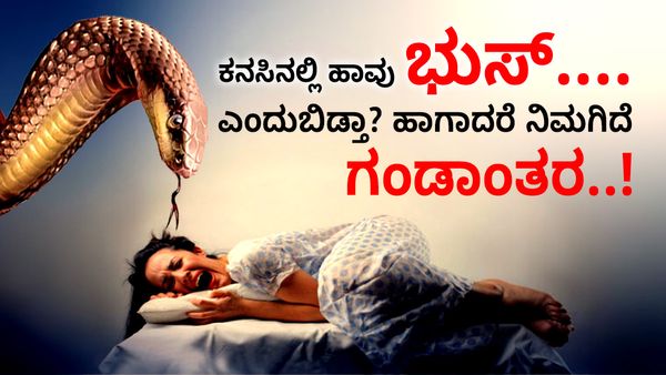 ಕನಸಿನಲ್ಲಿ ಹಾವು ಭುಸ್.... ಎಂದುಬಿಡ್ತಾ? ಹಾಗಾದರೆ ನಿಮಗಿದೆ ಗಂಡಾಂತರ..!
