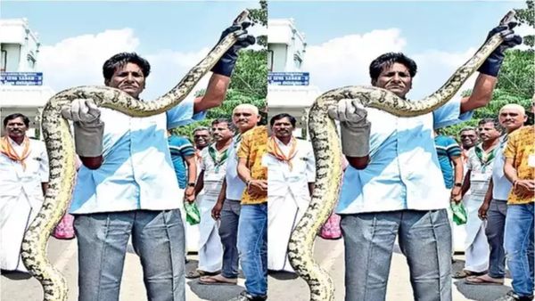 Python in Tirupati: ತಿರುಪತಿಯ ಹುಟ್ಟುಹಬ್ಬದಂದು ತಿಮ್ಮಪ್ಪನ ಭಕ್ತರಲ್ಲಿ ಸಂಚಲನ ಮೂಡಿಸಿದ ಹೆಬ್ಬಾವು!