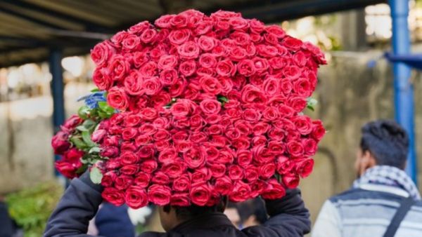 ಜಗತ್ತಿಗೆ ಪ್ರೀತಿ ಹಂಚಿದ ಬೆಂಗಳೂರು ಗುಲಾಬಿ: ಉದ್ಯಾನ ನಗರಿಯಿಂದ ಕೋಟಿ ಕೋಟಿ ಹೂವು ರಫ್ತು