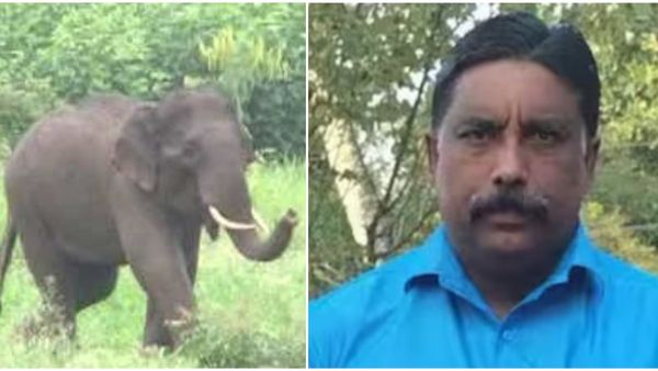 ವಯನಾಡು ಆನೆ ದಾಳಿ ಪ್ರಕರಣ: ಕರ್ನಾಟಕದ ಪರಿಹಾರ ಬೇಡ ಎಂದ ಮೃತನ ಕುಟುಂಬ, ಯಾಕೆ..?