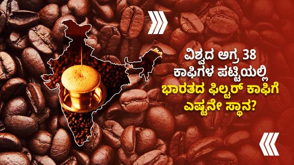 Best Coffees In The World: ವಿಶ್ವದ ಅತ್ಯುತ್ತಮ ಕಾಫಿಗಳಲ್ಲಿ ಭಾರತದ ಫಿಲ್ಟರ್ ಕಾಫಿಗೆ ಎಷ್ಟನೇ ಸ್ಥಾನ?
