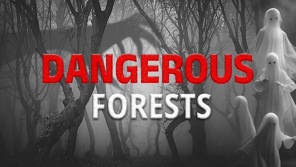 Dangerous Forests: ವಿಶ್ವದ ಭಯಾನಕ ಕಾಡುಗಳು- ಹೃದಯ ದುರ್ಬಲರು ಇಲ್ಲಿಗೆ ಹೋಗಬೇಡಿ..
