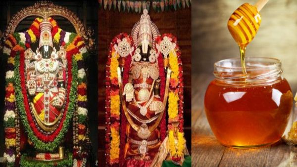 Tirupati Honey: ತುಪ್ಪಾ ಬೇಕಾ ತುಪ್ಪಾ.... ತಿರುಪತಿಯಲ್ಲಿ ದುಬಾರಿ ಜೇನು ತುಪ್ಪ!