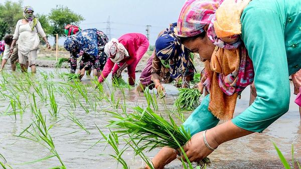 Lok Sabha Election 2024: ಬೆಳ್ಳಾವಿಯಲ್ಲಿ ನಾಳೆ ರೈತ ಸಮಾವೇಶ: ರಾಜ್ಯ ಕಾಂಗ್ರೆಸ್‌ ಸರ್ಕಾರದ ವಿರುದ್ಧ ಟ್ರ್ಯಾಕ್ಟರ್ ರ‍್ಯಾಲಿ