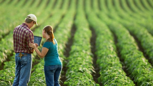 India: ಕೃಷಿ ಕೋರ್ಸ್ ಕಲಿಯುವ ವಿದ್ಯಾರ್ಥಿನಿಯರ ಪ್ರಮಾಣ ಬರೋಬ್ಬರಿ ಶೇ.175ರಷ್ಟು ಏರಿಕೆ