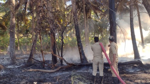 ಚಾಮರಾಜನಗರ: ಬೆಂಕಿ ಜ್ವಾಲೆಗೆ ಹೊತ್ತಿ ಉರಿದ ತೆಂಗಿನ ಮರಗಳು, ಅನ್ನದಾತ ಕಂಗಾಲು