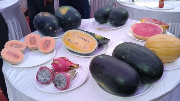 ಕೊಪ್ಪಳ: ಹಣ್ಣು ಮತ್ತು ಜೇನು ಮೇಳ, ದಾಖಲೆಯ ವಹಿವಾಟು