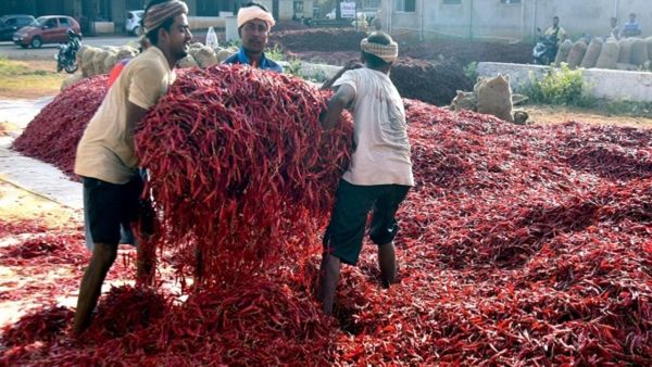 Red Chilli Price: ಮೆಣಸಿಕಾಯಿ ದರ ಇಳಿಕೆ- ಬ್ಯಾಡಗಿ ಮಾರುಕಟ್ಟೆ ಕಚೇರಿ ಮೇಲೆ ಕಲ್ಲು ತೂರಾಟ, ವಾಹನಗಳಿಗೆ ಬೆಂಕಿ, ಉದ್ವಿಗ್ನ