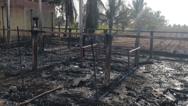 ಹಿರಿಯೂರು: ಶೆಡ್‌ಗೆ ಆಕಸ್ಮಿಕ ಬೆಂಕಿ ತಗುಲಿ 35ಕ್ಕೂ ಹೆಚ್ಚು ಕುರಿಗಳು ಸಾವು