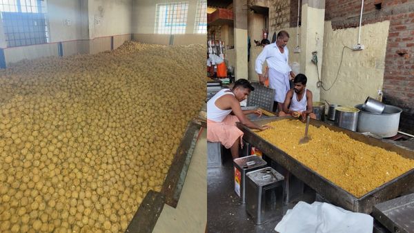 ಶಿವರಾತ್ರಿ ಜಾತ್ರೆ ಪ್ರಯುಕ್ತ ಮಲೆ ಮಾದಪ್ಪನ ಬೆಟ್ಟದಲ್ಲಿ 4 ಲಕ್ಷ ಲಡ್ಡು ತಯಾರಿ, ಸಿದ್ಧತೆಗಳು ಹೇಗಿವೆ ಗೊತ್ತಾ?