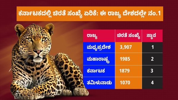 Leopard: ಕರ್ನಾಟಕದಲ್ಲಿ ಚಿರತೆ ಸಂಖ್ಯೆ ಏರಿಕೆ: ಈ ರಾಜ್ಯ ದೇಶದಲ್ಲೇ ನಂ.1