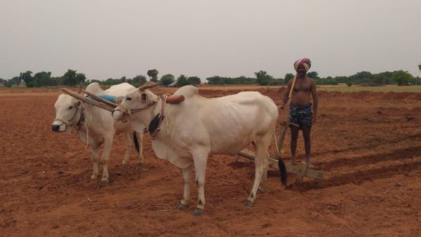 ಆರ್‌ಟಿಸಿಗೆ ಆಧಾರ್ ಕಾರ್ಡ್‌ ಲಿಂಕ್, ರೈತರಿಗೆ ಮಾಹಿತಿ