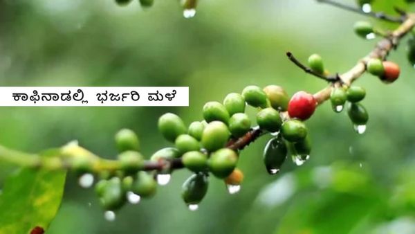 Karnataka Rain: ಮಳೆ..ಬಂತು..ಮಳೆ: ಕಾಫಿನಾಡಲ್ಲಿ ವರ್ಷದ ಮೊದಲ ಭರ್ಜರಿ ವರ್ಷಧಾರೆ