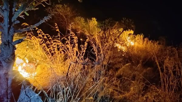 ಗುಂಡ್ಲುಪೇಟೆ: ಬೆಂಕಿಯ ಜ್ವಾಲೆಗೆ ಧಗಧಗಿಸಿದ ಗುಡ್ಡ