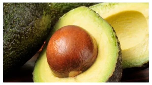 Avocado Seeds Health Benefit: ತೂಕ ಇಳಿಸಿ ಶಕ್ತಿ ಹೆಚ್ಚಿಸುವ ಆವಕಾಡೊ ಬೀಜದ ಆರೋಗ್ಯಕರ ಪ್ರಯೋಜನ ತಿಳಿದೇ ತಿನ್ನಿ....