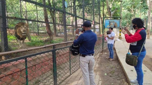 Bannerghatta: ಬಿಸಿಲ ಬಿಸಿ ತಣಿಸಲು ಲಾಲಿಪಾಪ್, ಐಸ್‌ಕ್ರೀಮ್ ತಿಂದ ಬನ್ನೇರುಘಟ್ಟ ಪ್ರಾಣಿಗಳು
