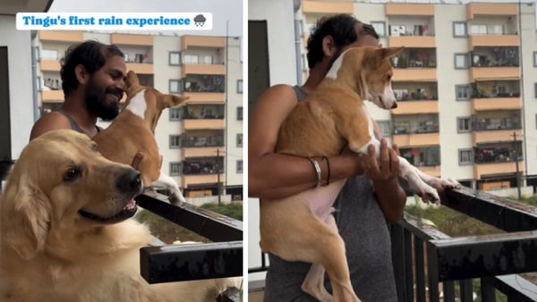 Bengaluru Rain: ಮುದ್ದಿನ ನಾಯಿಮರಿಗೆ ಮೊದಲ ಮಳೆ ತೋರಿಸಿ ಖುಷಿ ಪಟ್ಟ ವ್ಯಕ್ತಿ; ವಿಡಿಯೋ ವೈರಲ್