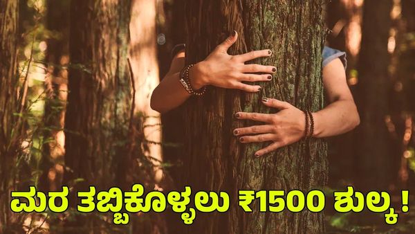 Forest Breathing: ಬೆಂಗಳೂರಿನಲ್ಲಿ ಮರ ತಬ್ಬಿಕೊಳ್ಳಲು ₹1500 ಶುಲ್ಕ ವಿಧಿಸಿದ ಕಂಪನಿ; ನೆಟ್ಟಿಗರು ಏನಂದ್ರು?