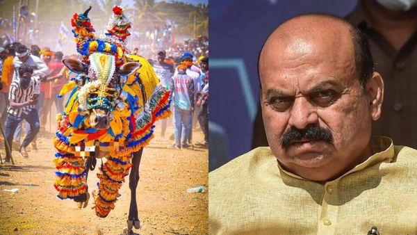 Haveri Rock Star Bull: ಲಕ್ಷಾಂತರ ಅಭಿಮಾನಿ ಗಳಿಸಿದ್ದ 'ಹಾವೇರಿ ರಾಕ್ ಸ್ಟಾರ್‌ ಹೋರಿ' ನಿಧನ: ಮಾಜಿ ಸಿಎಂ ಬೇಸರ