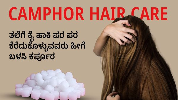 Camphor Hair Care: ತಲೆಗೆ ಕೈ ಹಾಕಿ ಪರ ಪರ ಕೆರೆದುಕೊಳ್ಳುವವರು ಹೀಗೆ ಬಳಸಿ ಕರ್ಪೂರ
