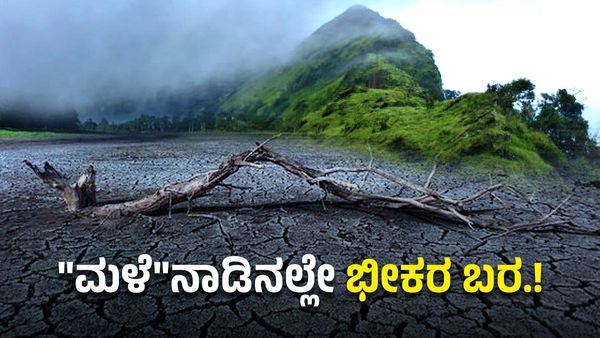 ಮೂಡಿಗೆರೆ: ರಣ ಬಿಸಿಲಿಗೆ ಬೆಂದ ಕಾಫಿಗಿಡಗಳು, ಮಳೆಗಾಗಿ ದೇವರ ಮೊರೆ ಹೋದ ಜನ