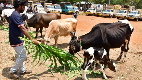 ರೈತರೊಂದಿಗೆ ನಾವಿದ್ದೇವೆ ಎಂದ ಧಾರವಾಡ ಜಿಲ್ಲಾಡಳಿತ: ವಿನೂತನ ಅಭಿಯಾನ