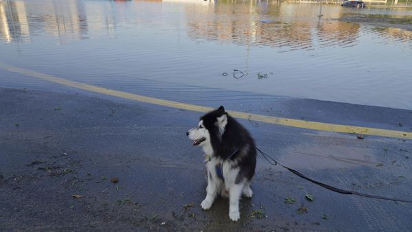 Dubai Rain: ದುಬಾರಿ ದುಬೈಗೆ ಭಾರವಾದ ಮಳೆ: 4 ದಿನ ಕಳೆದ್ರೂ ಸಹಜ ಸ್ಥಿತಿಗೆ ಬಾರದೆ ಹೈರಾಣ