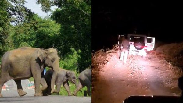 ಚಾಮರಾಜನಗರ: ಇವಿಎಂ ಸಾಗಿಸುತ್ತಿದ್ದ ವಾಹನ ಅಡ್ಡಗಟ್ಟಿದ ಗಜಪಡೆ, ವಿಡಿಯೋ ವೈರಲ್‌