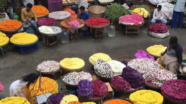 Flower Price: ಬರದ ಯುಗಾದಿ ಬಲು ದುಬಾರಿ: ಹೂವು-ಹಣ್ಣುಗಳ ದರ ಹೇಗಿದೆ ಗೊತ್ತಾ..?