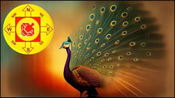 ಈ ಪಕ್ಷಿಗಳ ಫೋಟೋ ಮನೆಯಲ್ಲಿಟ್ಟರೆ ಹಣದ ಸಮಸ್ಯೆ ಇರೋದೇ ಇಲ್ಲ....