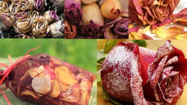 Gold building in Dubai: ದುಬೈನಲ್ಲಿ ಬಂಗಾರದ ಬಿಲ್ಡಿಂಗ್: ಒಣಗಿದ ಹೂವಿಗೆ ಭಾರೀ ಡಿಮ್ಯಾಂಡ್