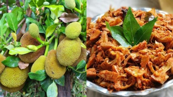 Halasinakayi Palya Recipe: ಸುಲಭವಾಗಿ ರುಚಿಕರ ಹಲಸಿನಕಾಯಿ ಪಲ್ಯ ಮಾಡುವುದು ಹೇಗೆ?