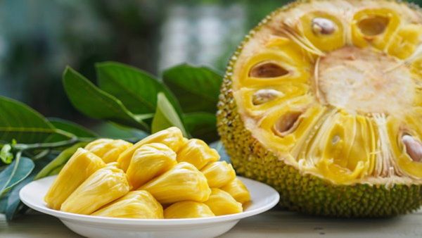 Jackfruit Fair: 3 ದಿನ 'ಹಲಸು-ವೈವಿಧ್ಯಮಯ ಹಣ್ಣುಗಳ ಮಹಾಮೇಳ': ಎಲ್ಲಿ?