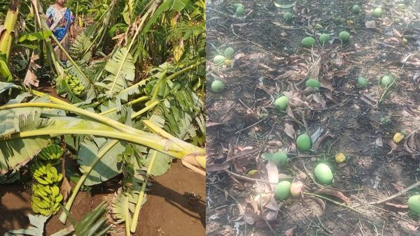 Karnataka Rain: ಬರಕ್ಕೆ ತತ್ತರಿಸಿದ್ದ ರೈತರಿಗೆ ಬಿರುಗಾಳಿ ಸಹಿತ ಬಂದ ಮಳೆಯ ಬರೆ