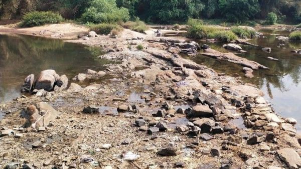 Kodagu Rain: ಮುಗಿಲತ್ತ ದೃಷ್ಟಿನೆಟ್ಟ ಕೊಡಗಿನ ಬೆಳೆಗಾರರು..ಏಕೆ ಹೀಗಾಯಿತು?
