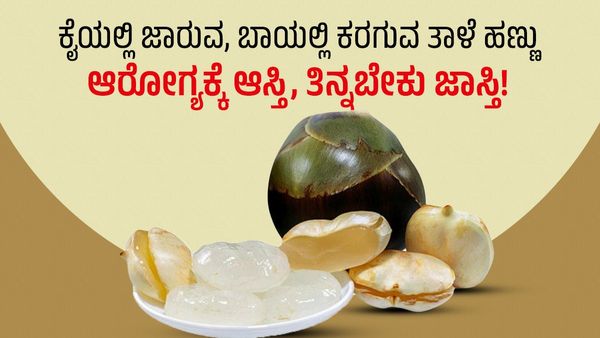 Health Benefits of Ice Apple: ಕೈಯಲ್ಲಿ ಜಾರುವ, ಬಾಯಲ್ಲಿ ಕರಗುವ ತಾಳೆ ಹಣ್ಣು: ಆರೋಗ್ಯಕ್ಕೆ ಆಸ್ತಿ, ತಿನ್ನಬೇಕು ಜಾಸ್ತಿ!