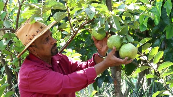 ವಿದೇಶದಿಂದ ಬಂದು ಬರಡು ಭೂಮಿಯಲ್ಲಿ ಬದುಕು ಬದಲಿಸಿಕೊಂಡ ಕಾರ್ಕಳದ ಕೃಷಿಕ