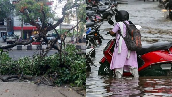 Bengaluru Rain: ಒಣಗಿರುವ ಮರ, ಕೊಂಬೆ ಕಂಡರೆ ವಾಟ್ಸಾಪ್ ಮಾಡಿ